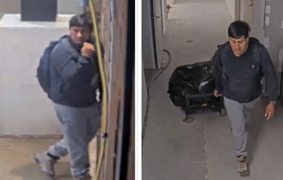 Cambridge Police Seek Public's Help to Identify Suspect in North Cambridge Break-In and Theft