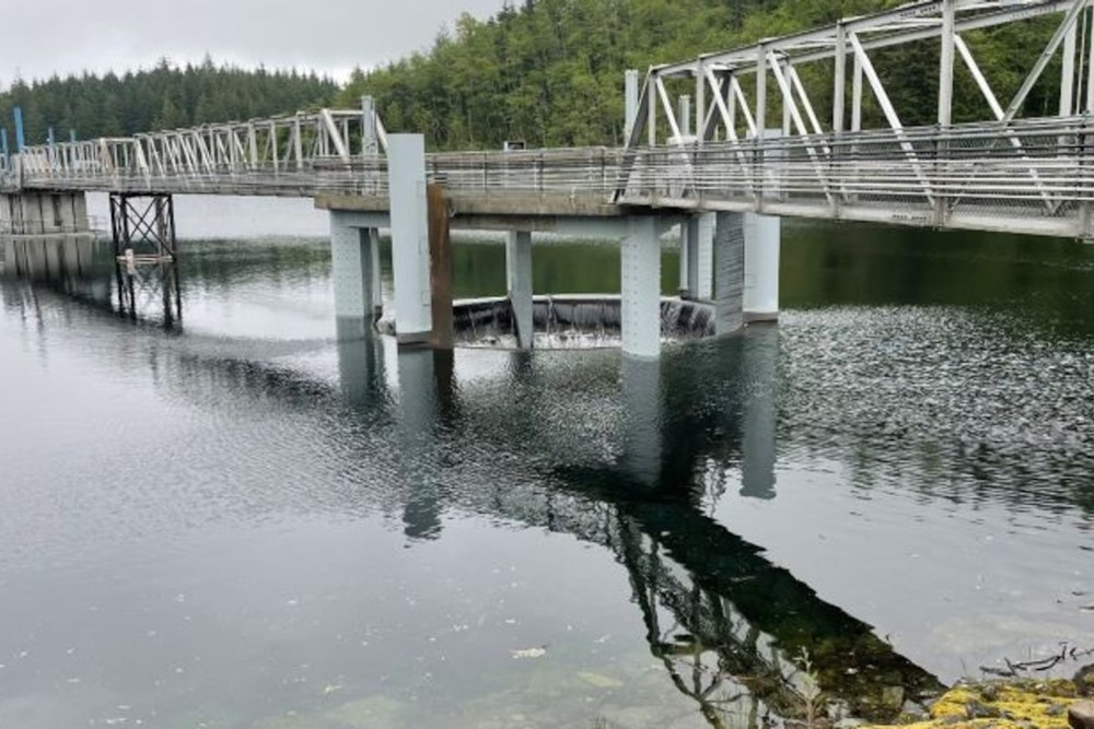 Carnation Raises Alarm Over Silent Dam Sirens Amid Texas Flood Catastrophe, Demands Reliable Early Warning System