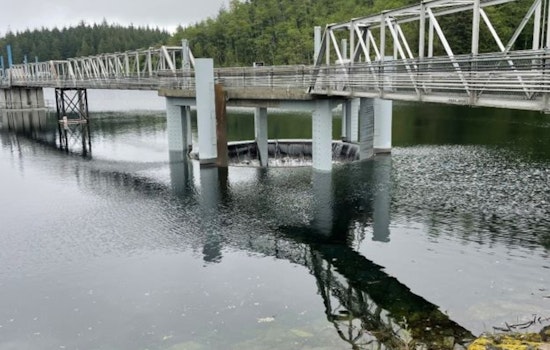 Carnation Raises Alarm Over Silent Dam Sirens Amid Texas Flood Catastrophe, Demands Reliable Early Warning System
