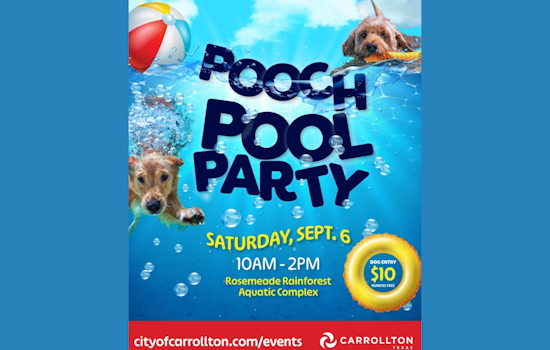 Carrollton's Annual Pooch Pool Party Set to Make a Splash at Rosemeade Rainforest Aquatic Complex