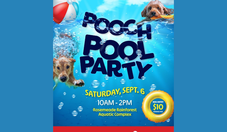 Carrollton's Annual Pooch Pool Party Set to Make a Splash at Rosemeade Rainforest Aquatic Complex