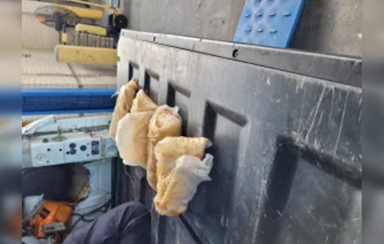 CBP Seizes Over 125 Pounds of Methamphetamine at El Paso Border Crossings, Two Women Arrested