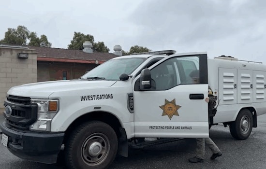 Charges to Be Filed Against Suspected Dog Abuse Perpetrator in Spring Valley Incident