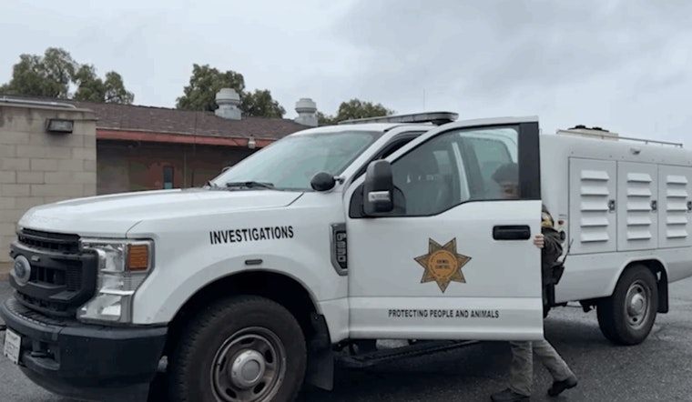 Charges to Be Filed Against Suspected Dog Abuse Perpetrator in Spring Valley Incident