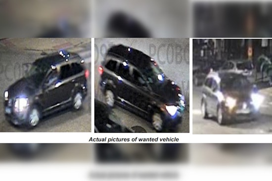 Chicago Community Shaken: Police Seek Information on Fatal Hit-and-Run in Pilsen