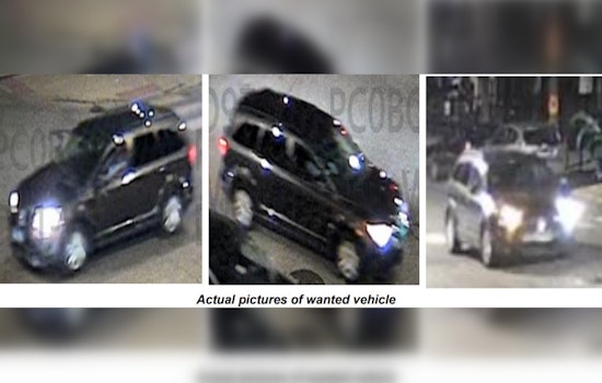 Chicago Community Shaken: Police Seek Information on Fatal Hit-and-Run in Pilsen