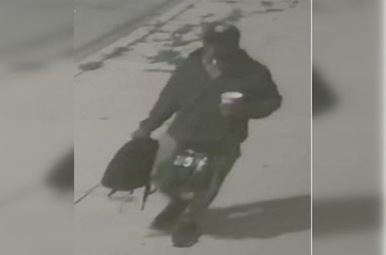 Chicago Police Issue Alert for Suspected Sexual Abuse and Trespass in Roscoe Village