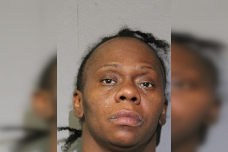 Chicago Woman Charged with First-Degree Murder and Arson in Violent Independence Day Incident on W. Palmer St.
