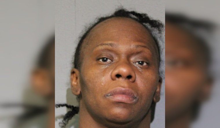 Chicago Woman Charged with First-Degree Murder and Arson in Violent Independence Day Incident on W. Palmer St.