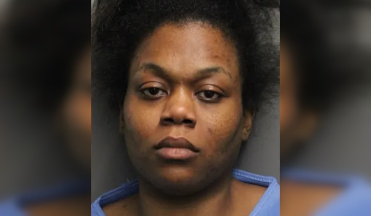 Chicago Woman Charged with First-Degree Murder in Drowning Death of 1-Year-Old Near Lake Michigan