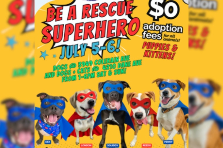 Cincinnati Animal CARE Hosts Free Adoption Event Amid Capacity Strain Ahead of July 4 Surge