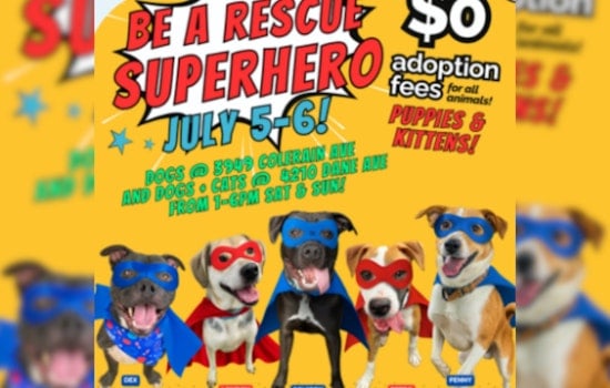 Cincinnati Animal CARE Hosts Free Adoption Event Amid Capacity Strain Ahead of July 4 Surge
