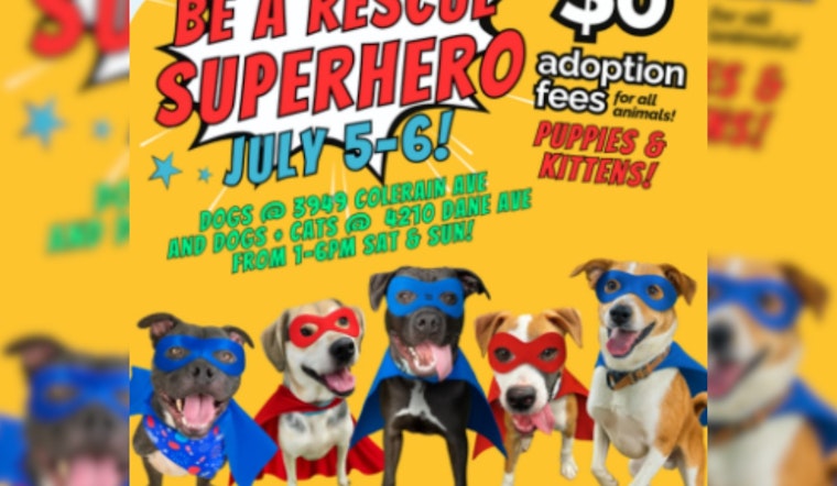 Cincinnati Animal CARE Hosts Free Adoption Event Amid Capacity Strain Ahead of July 4 Surge