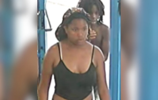 Cincinnati Police Seek Help Identifying Suspect in Rock-Throwing Vehicle Vandalism Incident