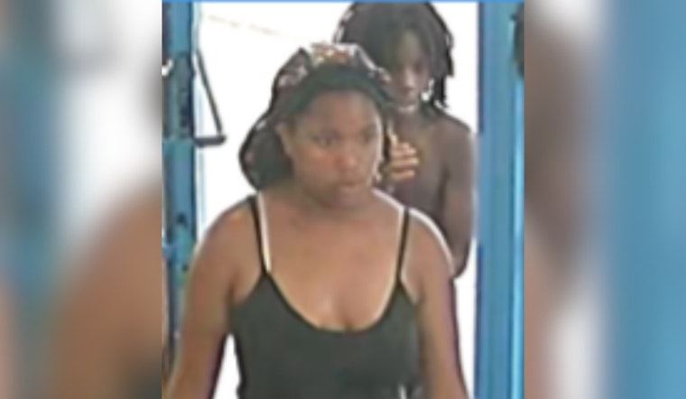 Cincinnati Police Seek Help Identifying Suspect in Rock-Throwing Vehicle Vandalism Incident
