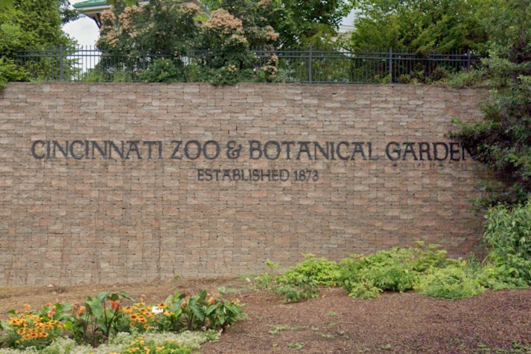 Cincinnati Zoo Elephants Triumph Over Deadly Virus with Groundbreaking mRNA Vaccine