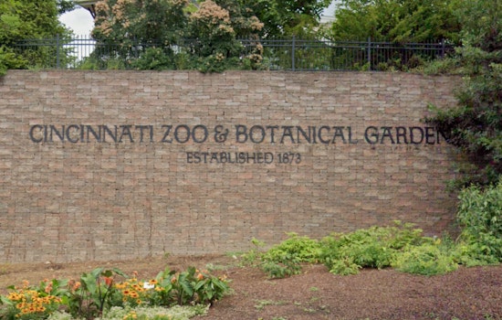 Cincinnati Zoo Elephants Triumph Over Deadly Virus with Groundbreaking mRNA Vaccine
