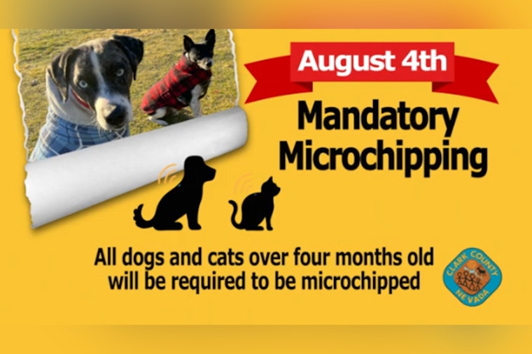 Clark County Implements Mandatory Microchipping for Pets to Reduce Shelter Numbers