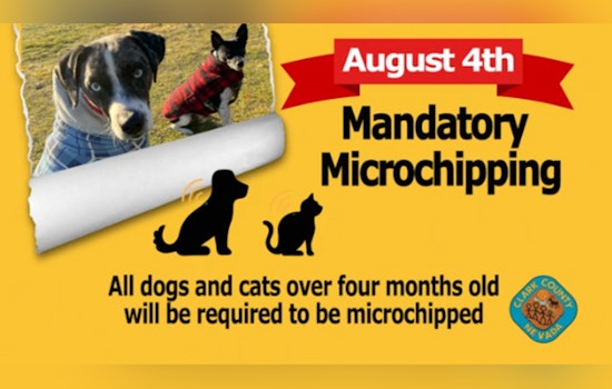 Clark County Implements Mandatory Microchipping for Pets to Reduce Shelter Numbers