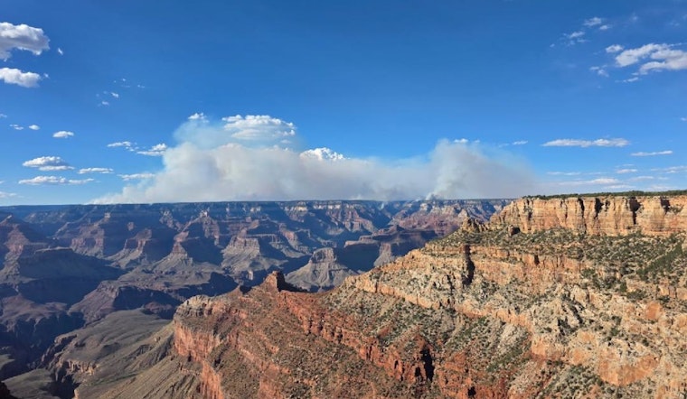 Coconino County Offers Lifeline to Businesses Affected by Wildfires with Economic Injury Disaster Loan Program