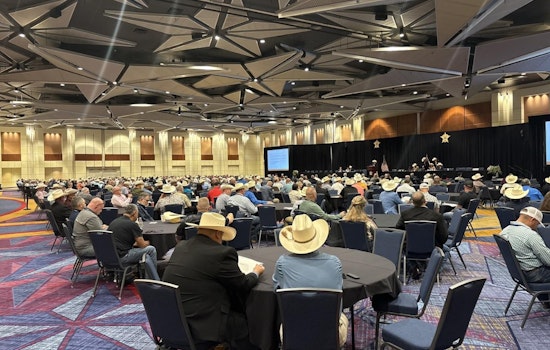 Collin County Sheriff's Office Takes Stage at Texas Sheriffs' Conference in Fort Worth