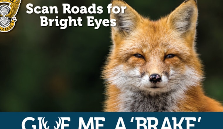 Colorado's "Give Me a ‘Brake’" Campaign Ends, Yet Wildlife on Roads Remains a Threat