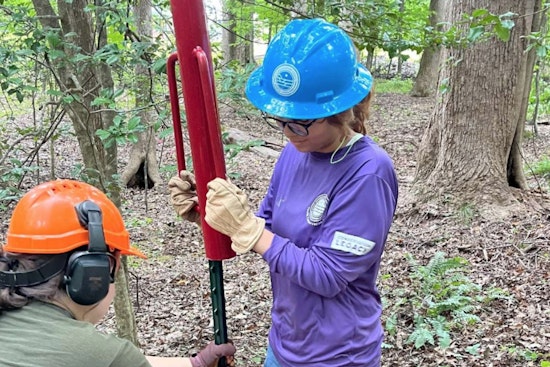 Conservation Corps NC Crew 1 Elevates Raleigh's Green Spaces by Enhancing Urban Forests and Dix Park Sunflower Field