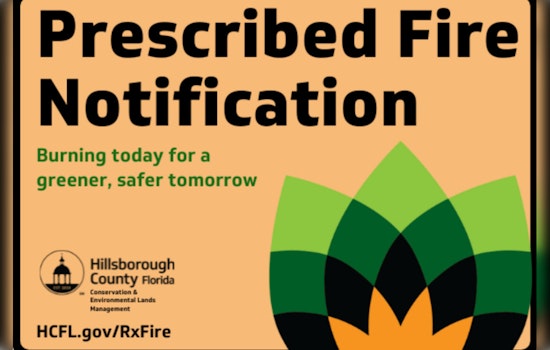 Controlled Burns at Blackwater Creek and Balm-Boyette Preserves Today as Part of Ecological Maintenance