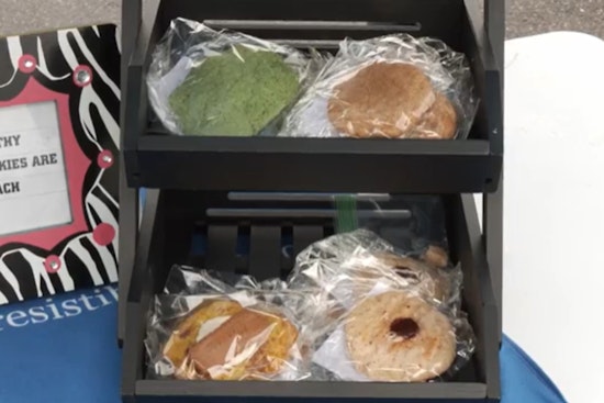 Coon Rapids Baker Launches 'Panda Squad Cookies' to Support Alzheimer's Research and Delight Vegans