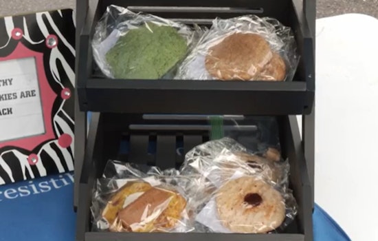 Coon Rapids Baker Launches 'Panda Squad Cookies' to Support Alzheimer's Research and Delight Vegans