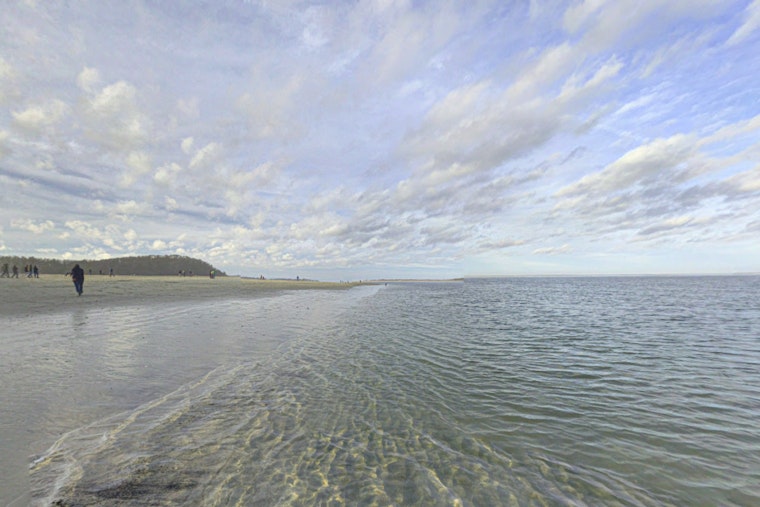 Crane Beach in Ipswich Increases Safety Measures in Anticipation of Shark Sightings This Summer