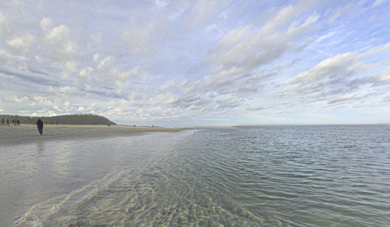 Crane Beach in Ipswich Increases Safety Measures in Anticipation of Shark Sightings This Summer