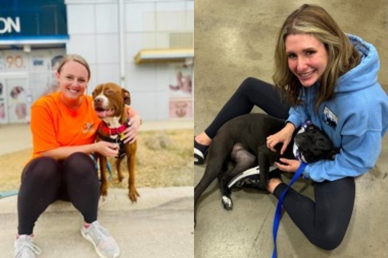 Dallas Community Bids Adieu to Dedicated Animal Shelter Volunteer Coordinator, 'Mission Pawsible' Kicks Off Amidst Farewell
