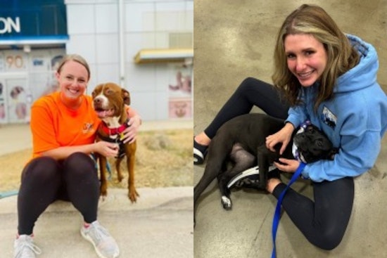 Dallas Community Bids Adieu to Dedicated Animal Shelter Volunteer Coordinator, 'Mission Pawsible' Kicks Off Amidst Farewell
