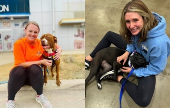 Dallas Community Bids Adieu to Dedicated Animal Shelter Volunteer Coordinator, 'Mission Pawsible' Kicks Off Amidst Farewell