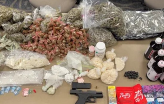 Dallas Police Seize Drugs and Make Arrest in Major Drug House Bust on Aspen Drive