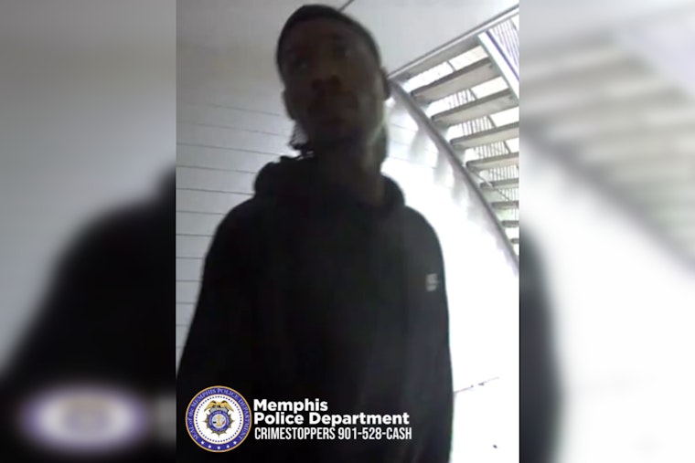 Daylight Burglary in Memphis' Niblik Pass Rattles Community; Police Seek Information