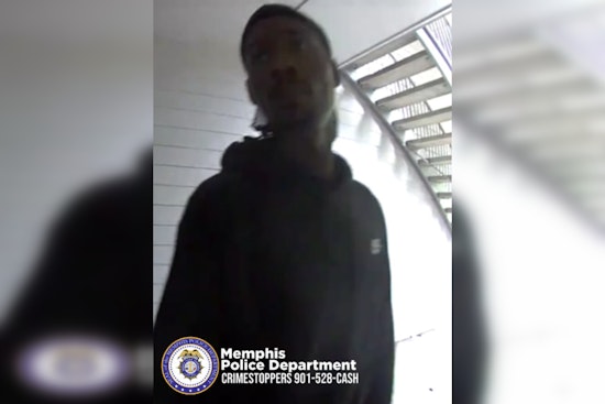 Daylight Burglary in Memphis' Niblik Pass Rattles Community; Police Seek Information