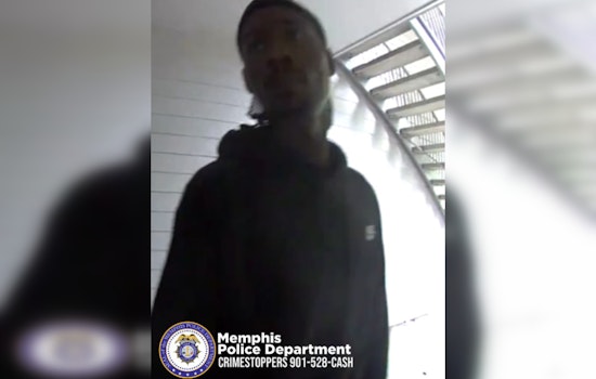 Daylight Burglary in Memphis' Niblik Pass Rattles Community; Police Seek Information
