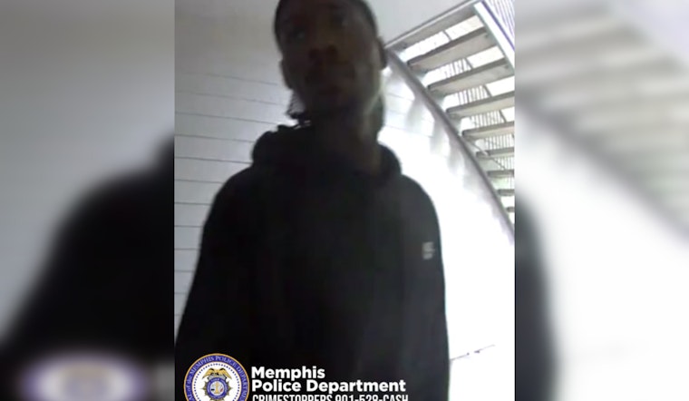 Daylight Burglary in Memphis' Niblik Pass Rattles Community; Police Seek Information