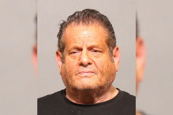 Denver Man Charged with Felony Theft in $150K Scam, Larimer County Sheriff Seeks Additional Victims