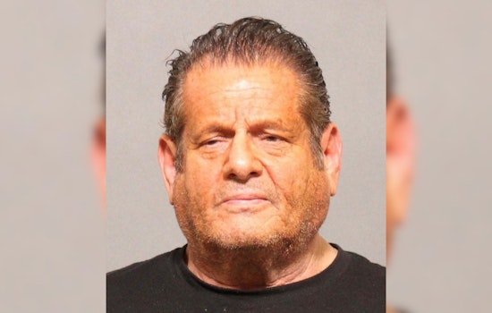 Denver Man Charged with Felony Theft in $150K Scam, Larimer County Sheriff Seeks Additional Victims