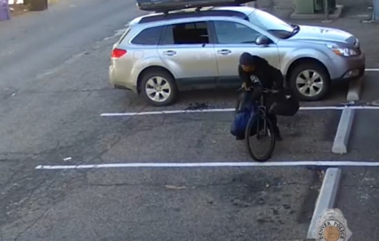 Denver Police Urge Vigilance Against Vehicle Break-Ins Amid Summer Social Surge