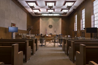 Denver Teen Pleads Guilty to Armed Robbery in Downers Grove, Sentenced to Juvenile Justice Term