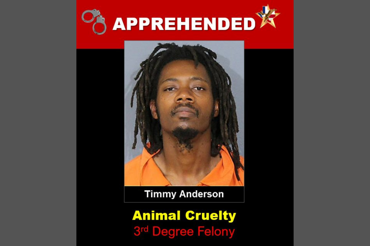 DeSoto Man Charged with Felony Animal Cruelty for Neglecting