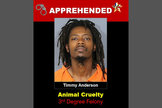 DeSoto Man Charged with Felony Animal Cruelty for Neglecting Malnourished Dogs