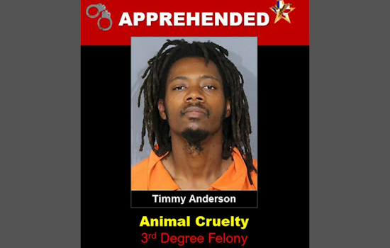DeSoto Man Charged with Felony Animal Cruelty for Neglecting Malnourished Dogs