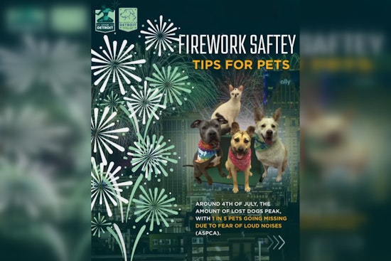 Detroit Animal Care and Control Shares Tips for Pet Safety During Fourth of July Festivities Amid Scam Warnings
