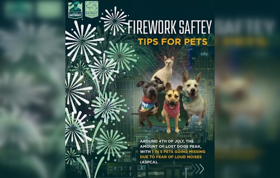 Detroit Animal Care and Control Shares Tips for Pet Safety During Fourth of July Festivities Amid Scam Warnings
