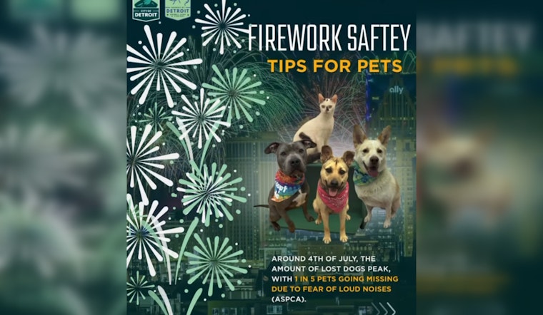 Detroit Animal Care and Control Shares Tips for Pet Safety During Fourth of July Festivities Amid Scam Warnings